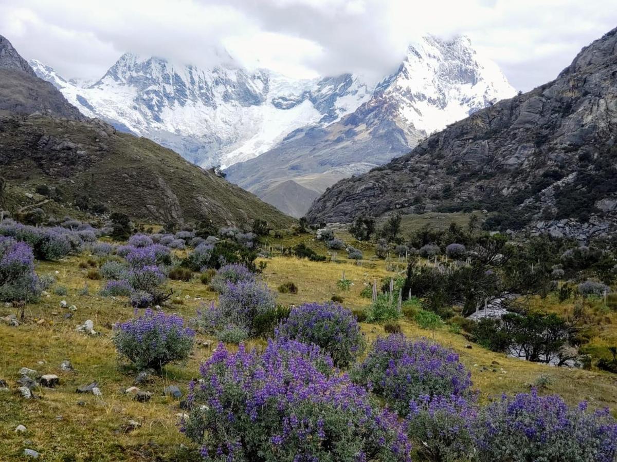 Lhotse Hostel B&B Huaraz  Exteriér fotografie